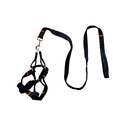 Arnes para perro 2cmx1.2m 2-lm1704-1466